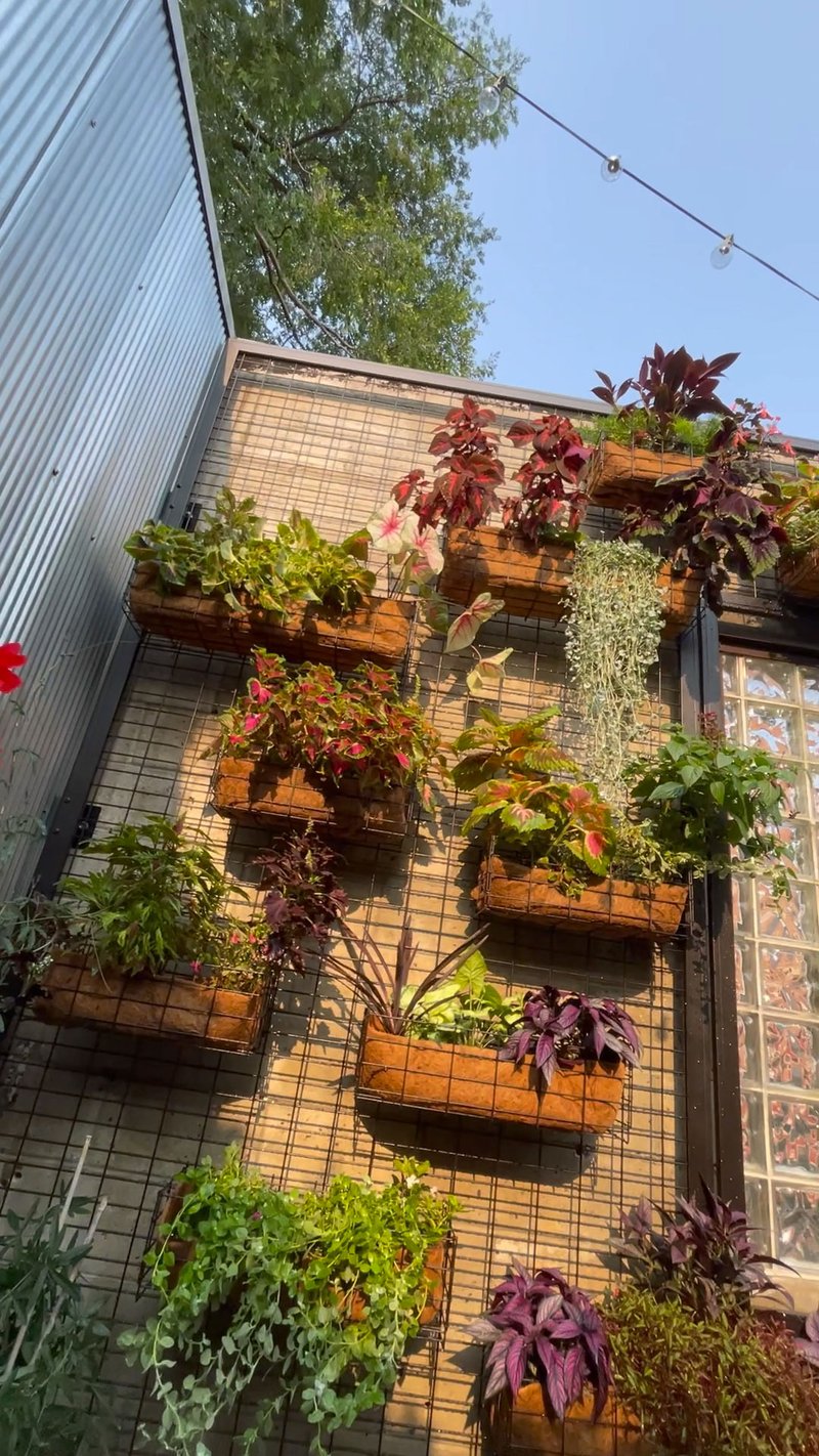 Wall Mounted Trellis preview 4